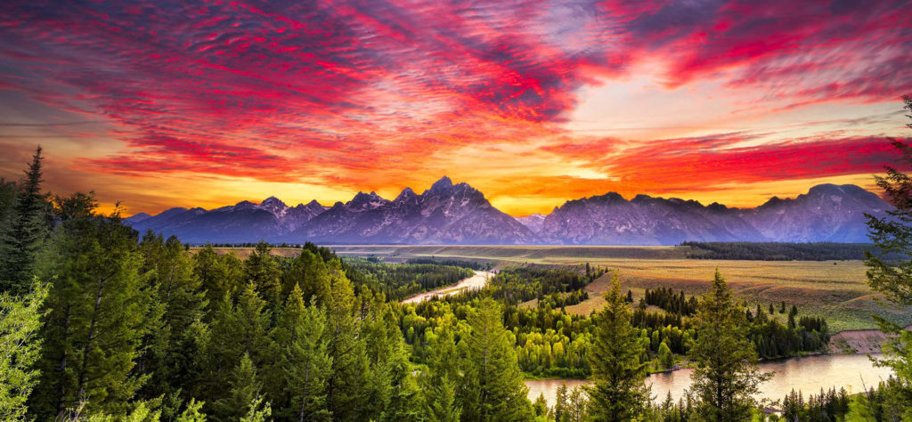Summer Grand Teton Yellowstone Wildlife Tours