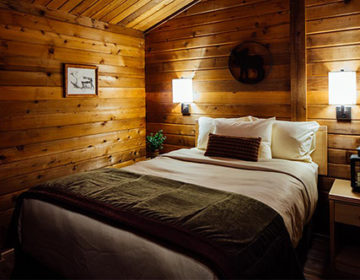Denali Bluffs Room