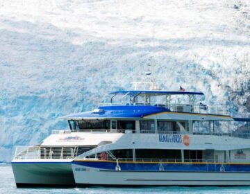 Kenai Fjords Adventure